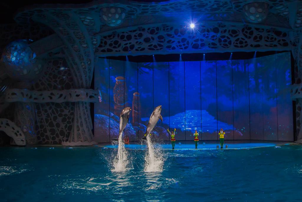Мюзикл «Сон в летнюю ночь» возвращается на водную сцену «Москвариума»