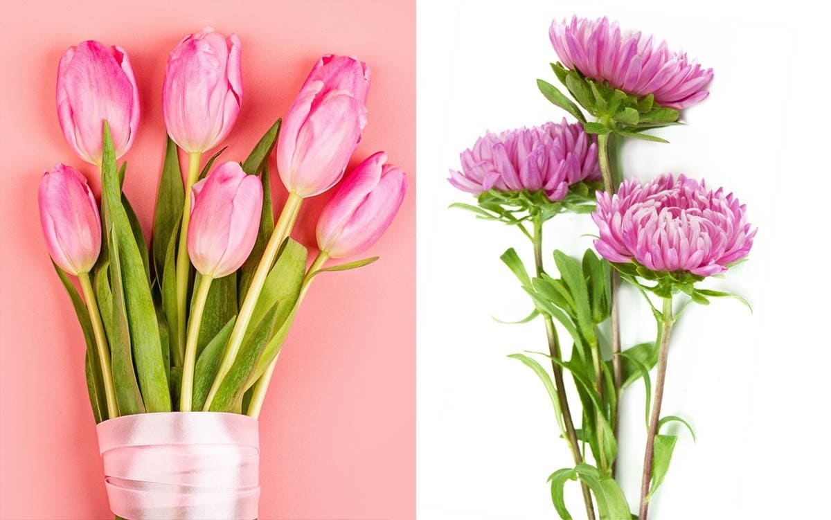 Какие цветы подарить на День Матери