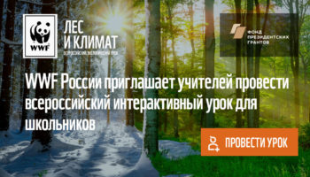 К интерактивному уроку WWF «Лес и климат» присоединились 5 тысяч учителей России