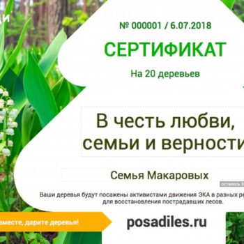 Ко Дню любви, семьи и верности россияне могут посадить семейный лес