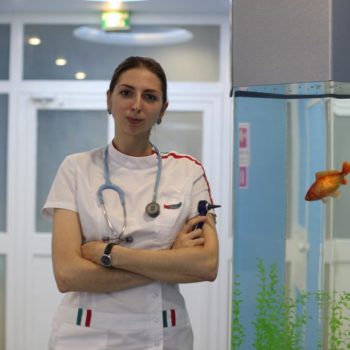 Елена Рыбакова