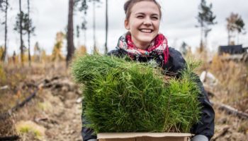 Россиян научат самостоятельно озеленять города и сажать деревья