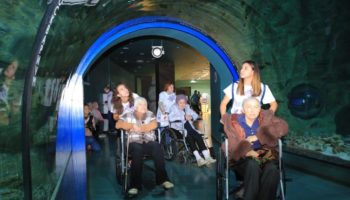 В «Москвариуме» на ВДНХ отметили Международный день пожилых людей