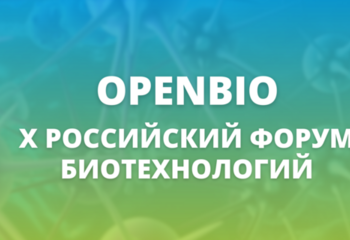 Баннер (1)